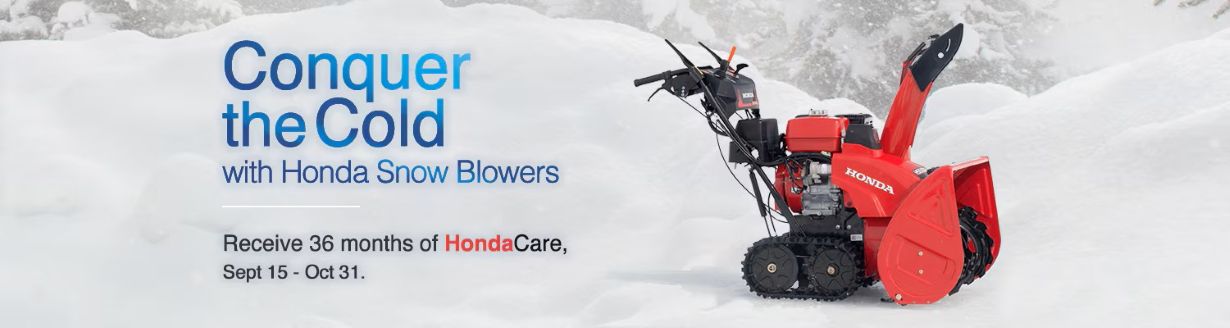 Conquer the Cold